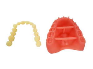 The individual parts of the printed denture. The teeth are printed as one piece and the base is printed as one piece.